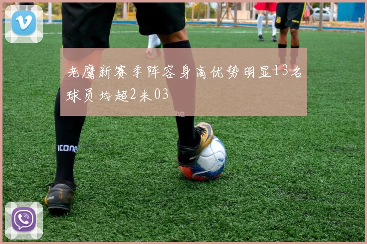 老鹰新赛季阵容身高优势明显13名球员均超2米03