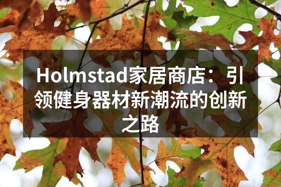 Holmstad家居商店：引领健身器材新潮流的创新之路