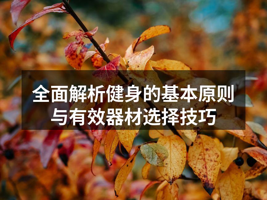 全面解析健身的基本原则与有效器材选择技巧